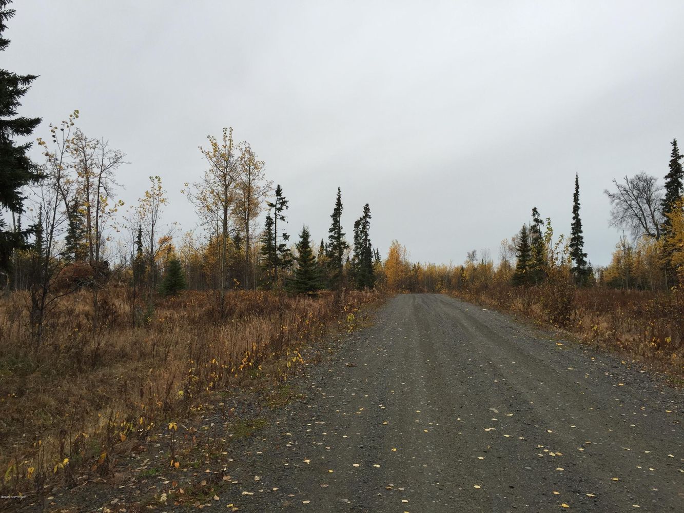 63885 Tailwind Rd, Ninilchik, AK 99639